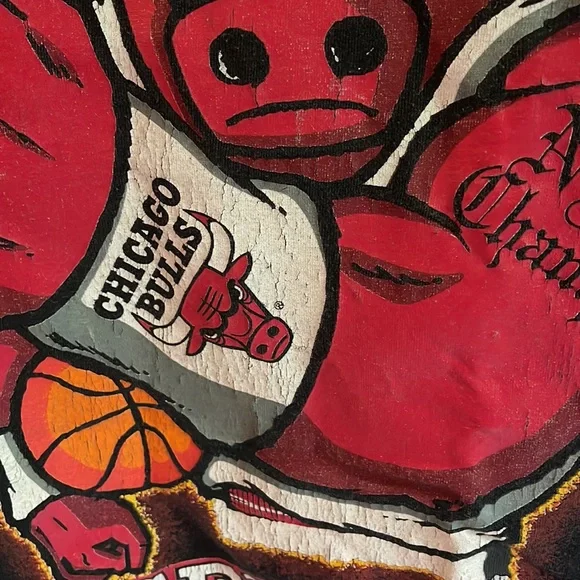 RARE Vintage 1996 Chicago Bulls NBA Champions T-shirt
